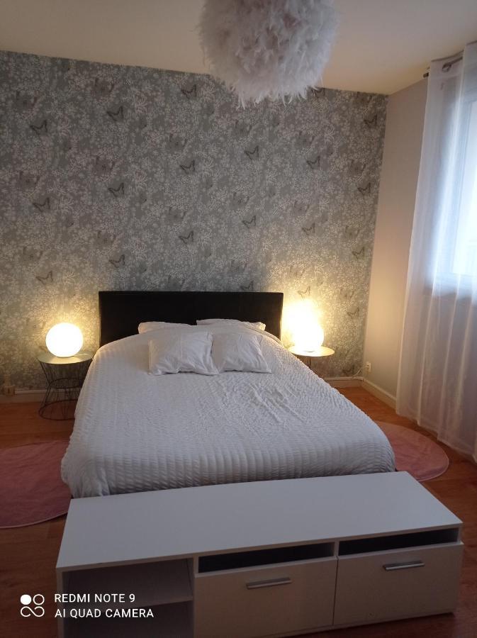 Le Cosy Apartment Vichy Luaran gambar